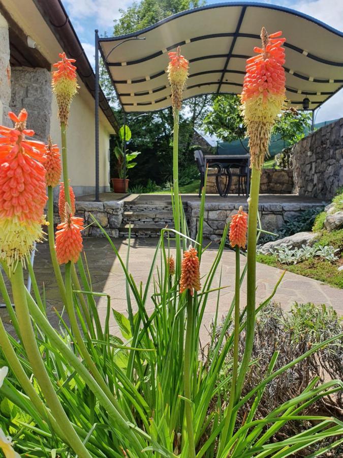 Holiday Home Demark Jurdani Bagian luar foto